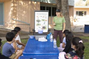 teaching children outdoors around table